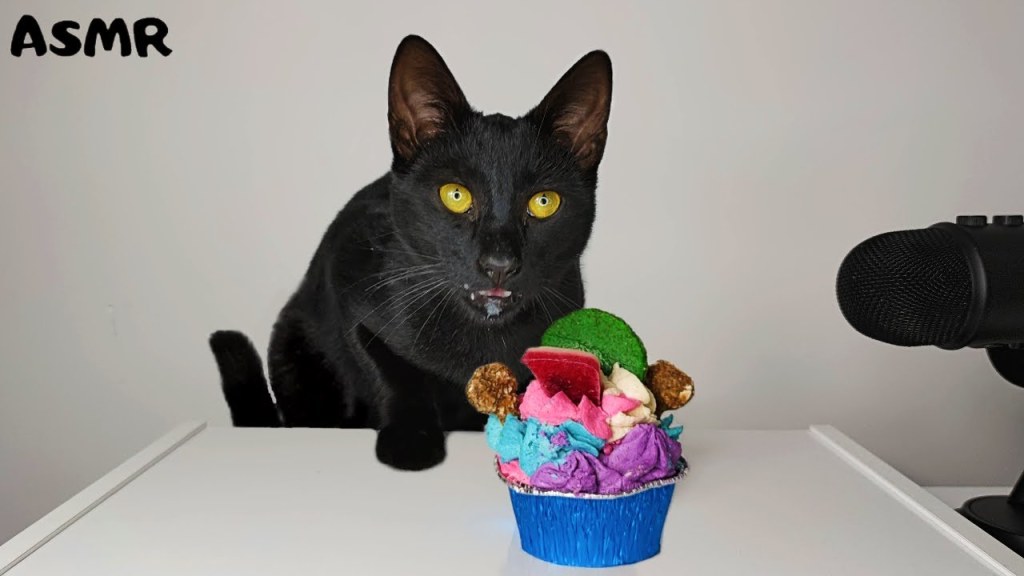 Picture of: Cat eating Cupcake ASMR